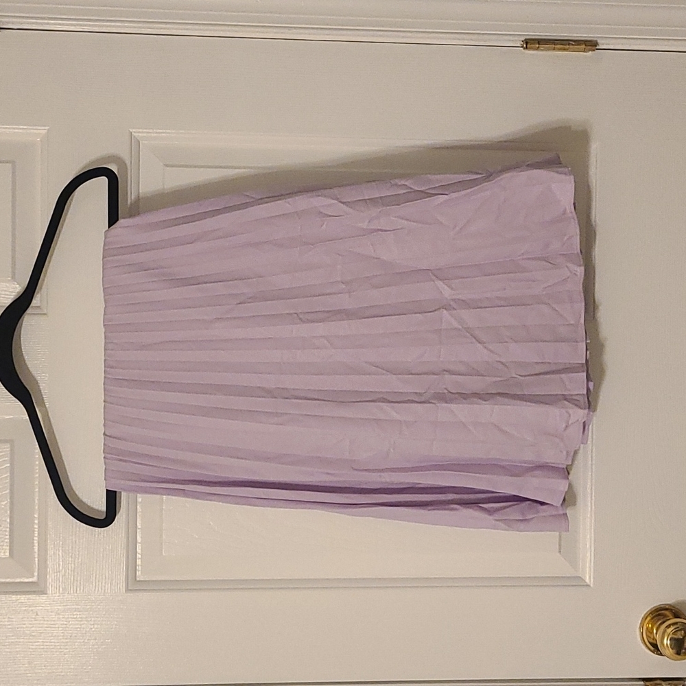 Ann Taylor Pleated Skirt